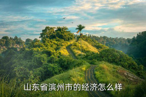 濱州經濟開發區落后嗎現在，濱州開發區還有發展潛力嗎...